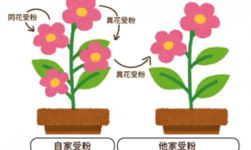 哺乳期肠炎发烧用药网 :分享哺乳期肠炎发烧用药多久能好-哺乳期肠炎发烧用药能喂奶吗知识